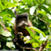 DSC_0068.jpg