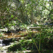 Scene from the hiking trail.