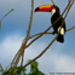 DSCN0573.jpg