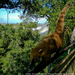 DSCN0682.jpg