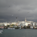 DSC01002.JPG