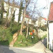 11-van-gogh-escalier-de-la-sansonne-2.jpg