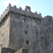 2011a Ireland 127.JPG