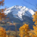 autumn.jpg