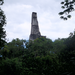 PA170468.JPG