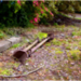 dscn41121.jpg