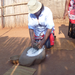 Grinding corn with stone. Whew! That's hard work.