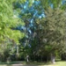 Cahaba.JPG
