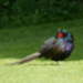 P1020545_2.JPG