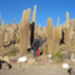 DSC00914.JPG