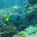 IMG_0760.JPG