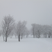 DSCF2974_R.JPG