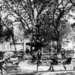 Mobile's Bienville Square.JPG