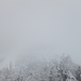 DSCF3005_R.JPG