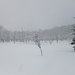 DSCF2951_R.JPG