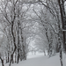 DSCF2947_R.JPG