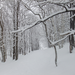 DSCF2945_R.JPG