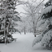 DSCF2942_R.JPG