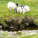 P1020690_2.JPG