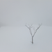 DSCF2958_R.JPG