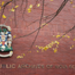 Nova Scotia Archives - Close Up.JPG