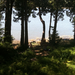 View from the deck at high tide. See Joe K.?
