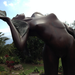 Outdoor bronze