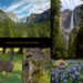 yosemite combanation.jpg