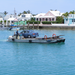 Vehicle ferry