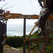 Side entrance to our studio.