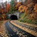 blue_ridge_parkway.260164247_std.jpg