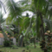 Companeros Property1.jpg