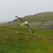 P1020867_2.JPG