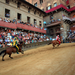 P8153953.JPG