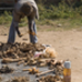 malawi_07_07_25.jpg