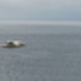 P1030031_2.JPG