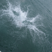 DSCF3773.JPG