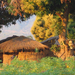 malawi_07_07_13.jpg