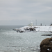 DSCF3103_R.JPG