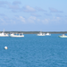 The little fleet