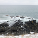 DSCF3122_R.JPG