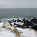 DSCF3121_R.JPG