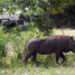 uganda_09_07_23.jpg