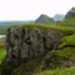 P1030429_2.JPG