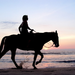 horse-riding.jpg