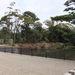 DSCF3156_R.JPG