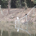 DSCF3155_R.JPG