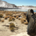 DSC01105.JPG