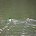 DSCF3173_R.JPG