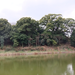 DSCF3171_R.JPG